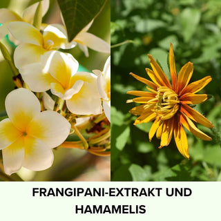 Gesichtswasser •Energie• mit Frangipani - Pure Elements Naturkosmetik