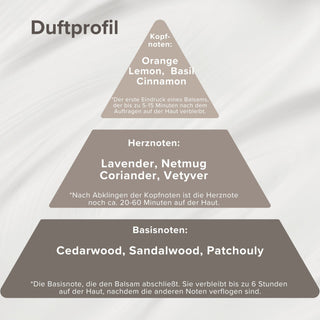 MEN Q10 Care Fluid •Energie• - Pure Elements Naturkosmetik